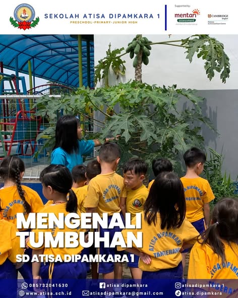 Exploring the wonderful world of plants! 🌱✨